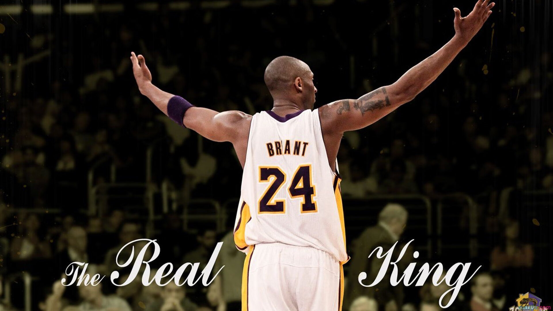 《电竞赛事卫星频道全面覆盖，直播无死角》，电竞tv直播