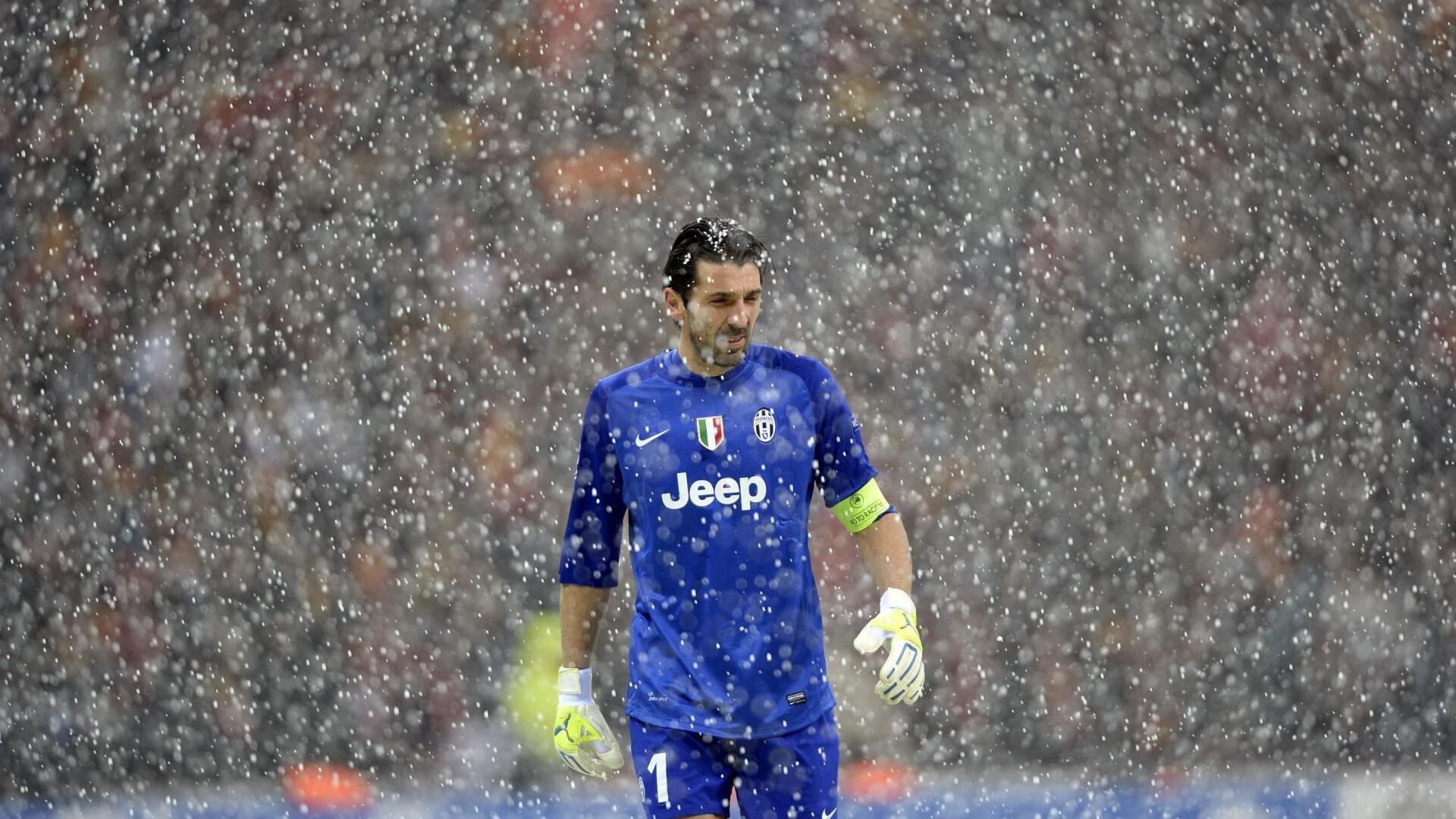 伊朗马术协会授予阿里·巴赫蒂亚里“年度最佳障碍赛骑手”称号。